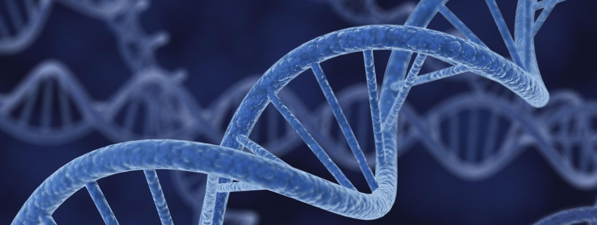BRCA Gene Mutations Reversing The Sentence New Jersey Lyme Disease Doctor Holistic 